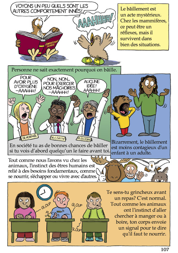 Pas b&ecirc;te du tout! Page 107