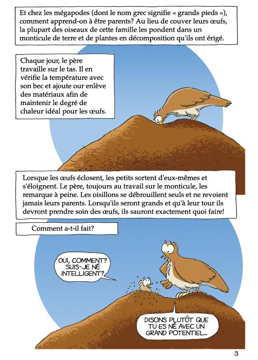 Pas b&ecirc;te du tout! Page 3