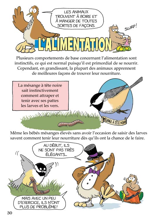 Pas b&ecirc;te du tout! Page 30