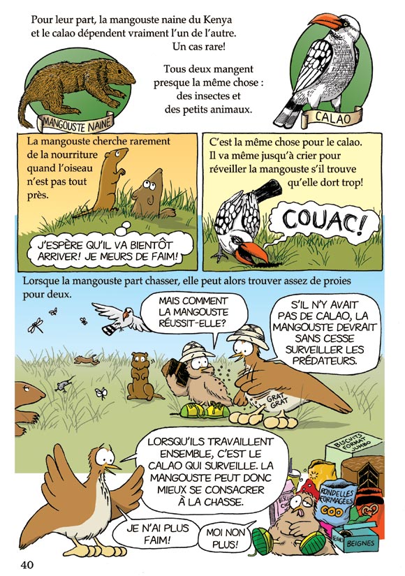 Pas b&ecirc;te du tout! Page 40