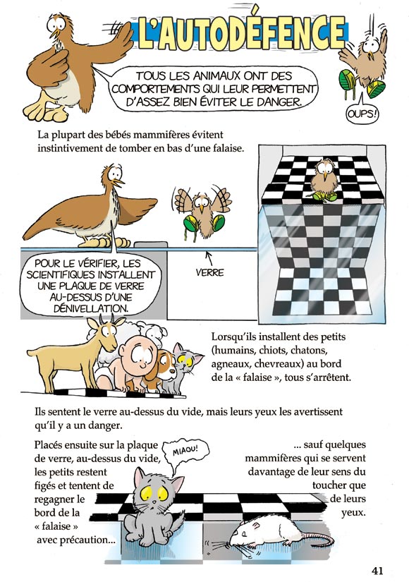 Pas b&ecirc;te du tout! Page 41