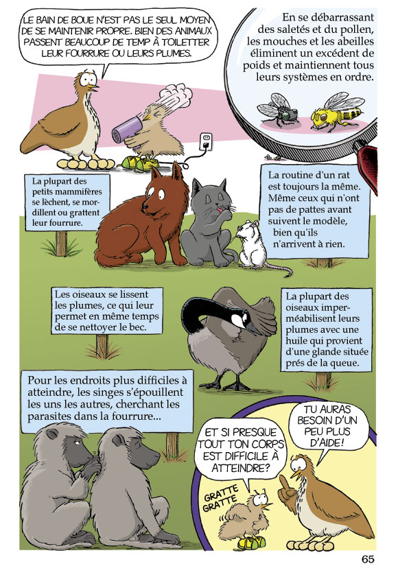 Pas b&ecirc;te du tout! Page 65
