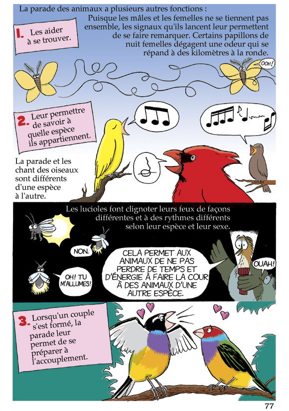 Pas b&ecirc;te du tout! Page 77