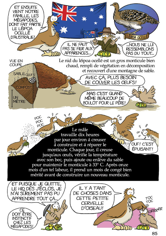 Pas b&ecirc;te du tout! Page 85