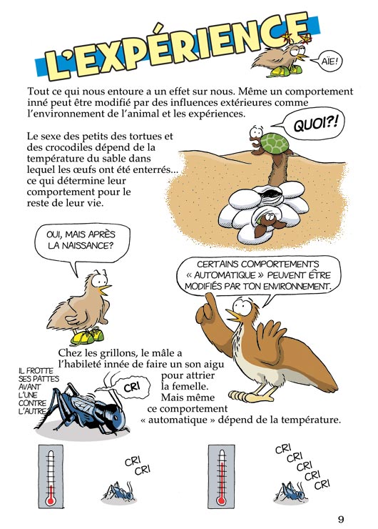 Pas b&ecirc;te du tout! Page 9